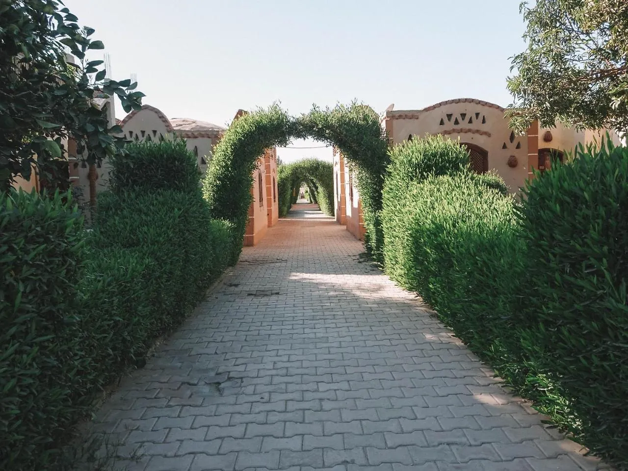 Al Baeirat Hotel Luxor 3*,